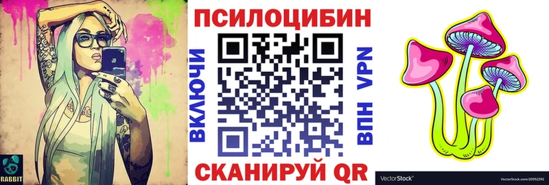 Псилоцибиновые грибы Cubensis  Казань 